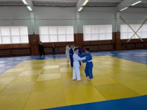 Школьная спортивная лига по дзюдо среди обучающихся общеобразовательных учреждений Самарской области